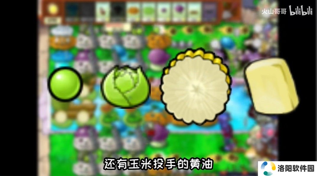 沙威玛植物大战僵尸版